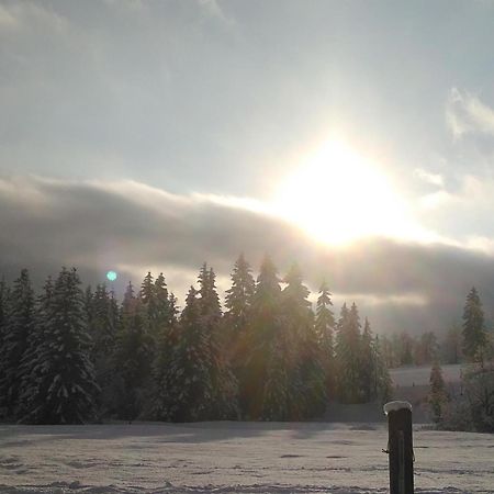 Ferienwohnungen Recherhof Hochfilzen Dış mekan fotoğraf