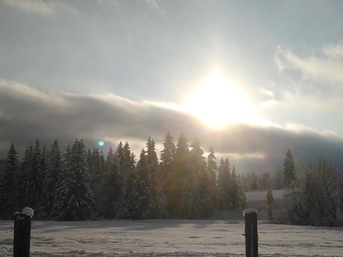 Ferienwohnungen Recherhof Hochfilzen Dış mekan fotoğraf