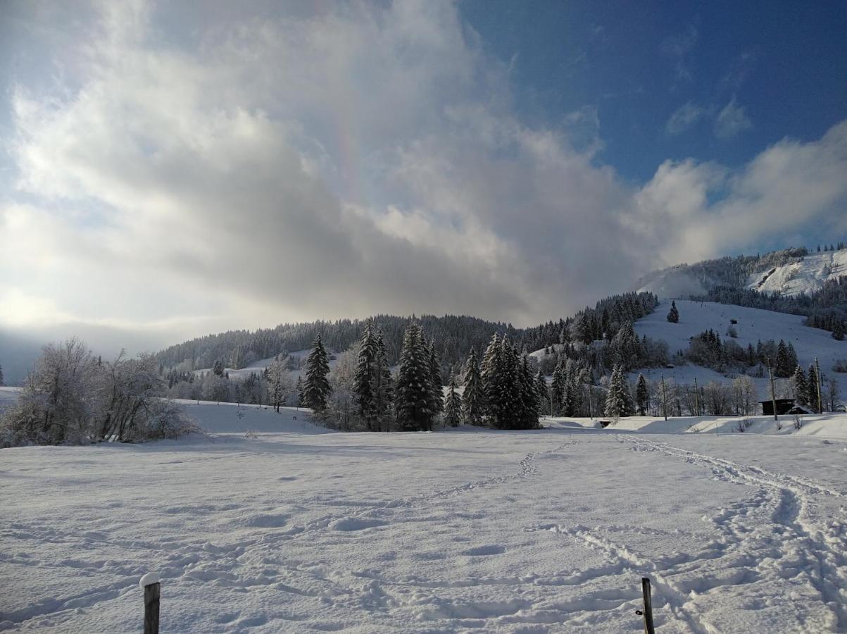 Ferienwohnungen Recherhof Hochfilzen Dış mekan fotoğraf