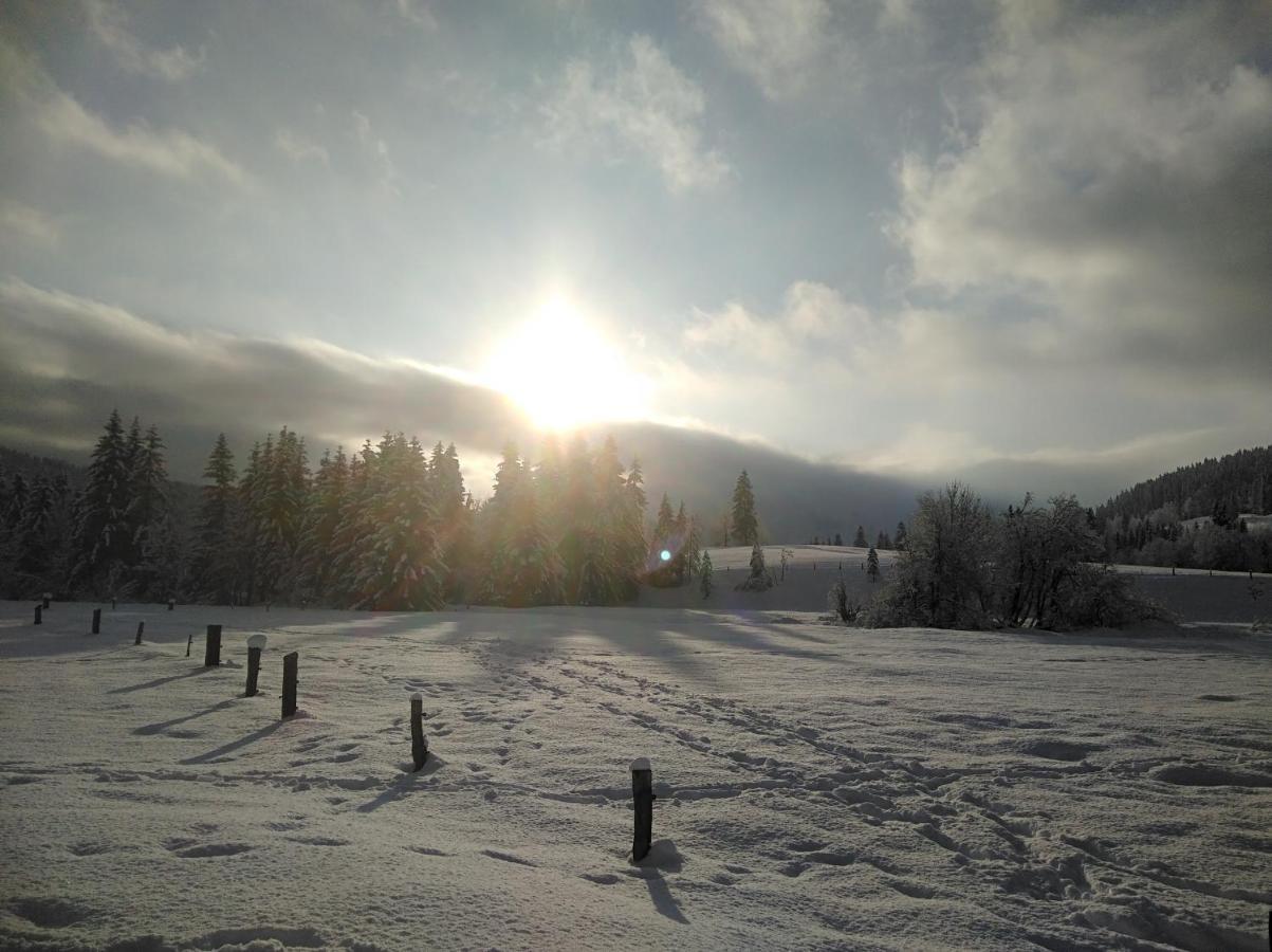 Ferienwohnungen Recherhof Hochfilzen Dış mekan fotoğraf