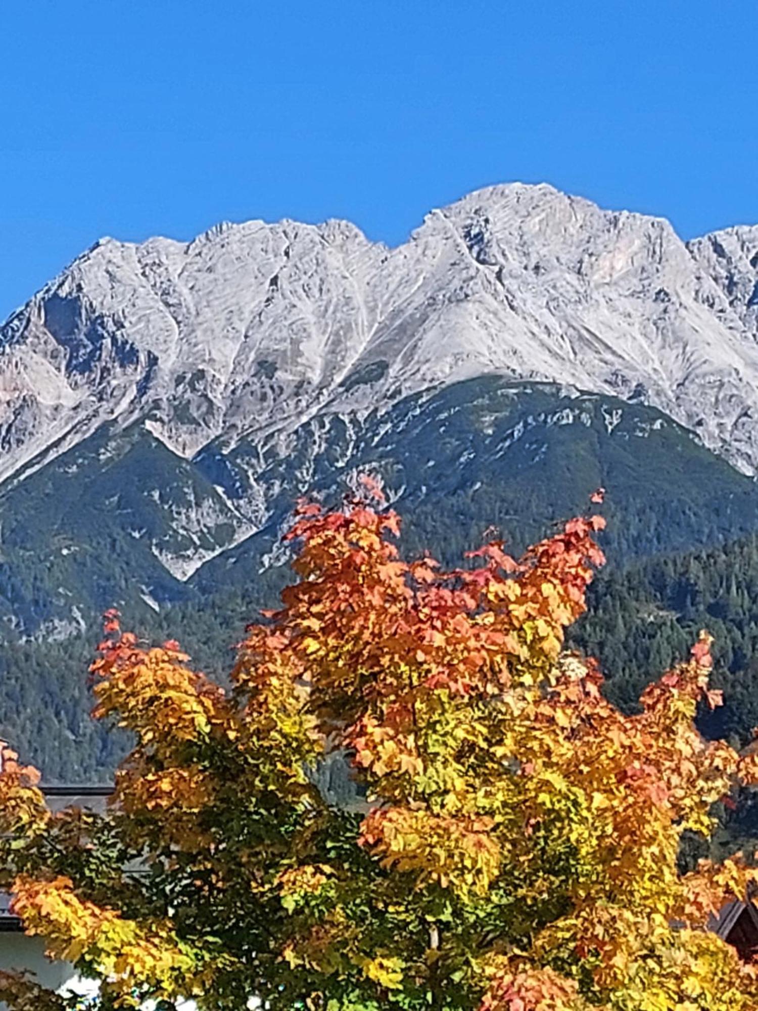 Ferienwohnungen Recherhof Hochfilzen Dış mekan fotoğraf