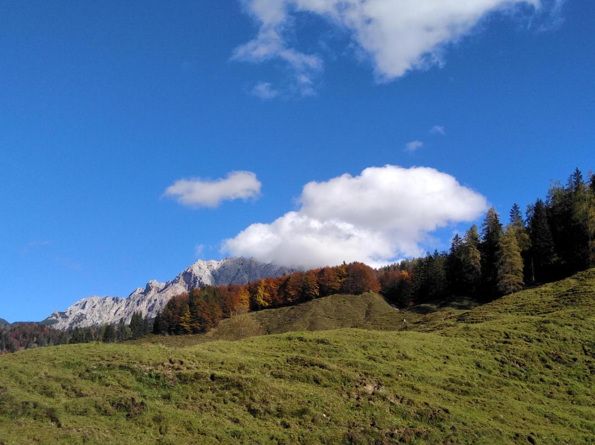 Ferienwohnungen Recherhof Hochfilzen Dış mekan fotoğraf