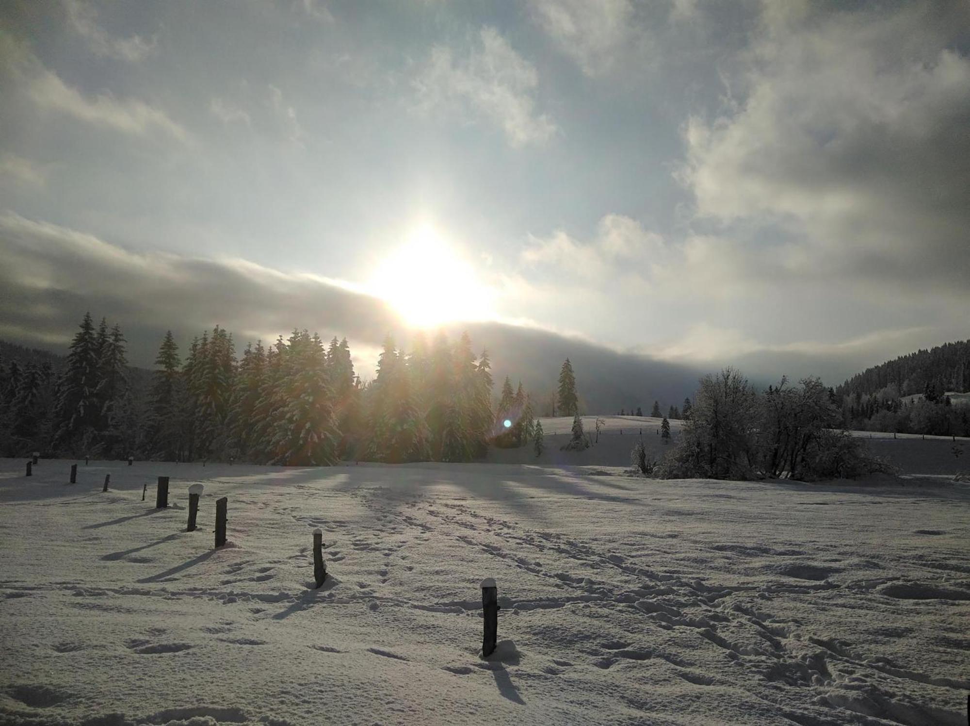 Ferienwohnungen Recherhof Hochfilzen Dış mekan fotoğraf
