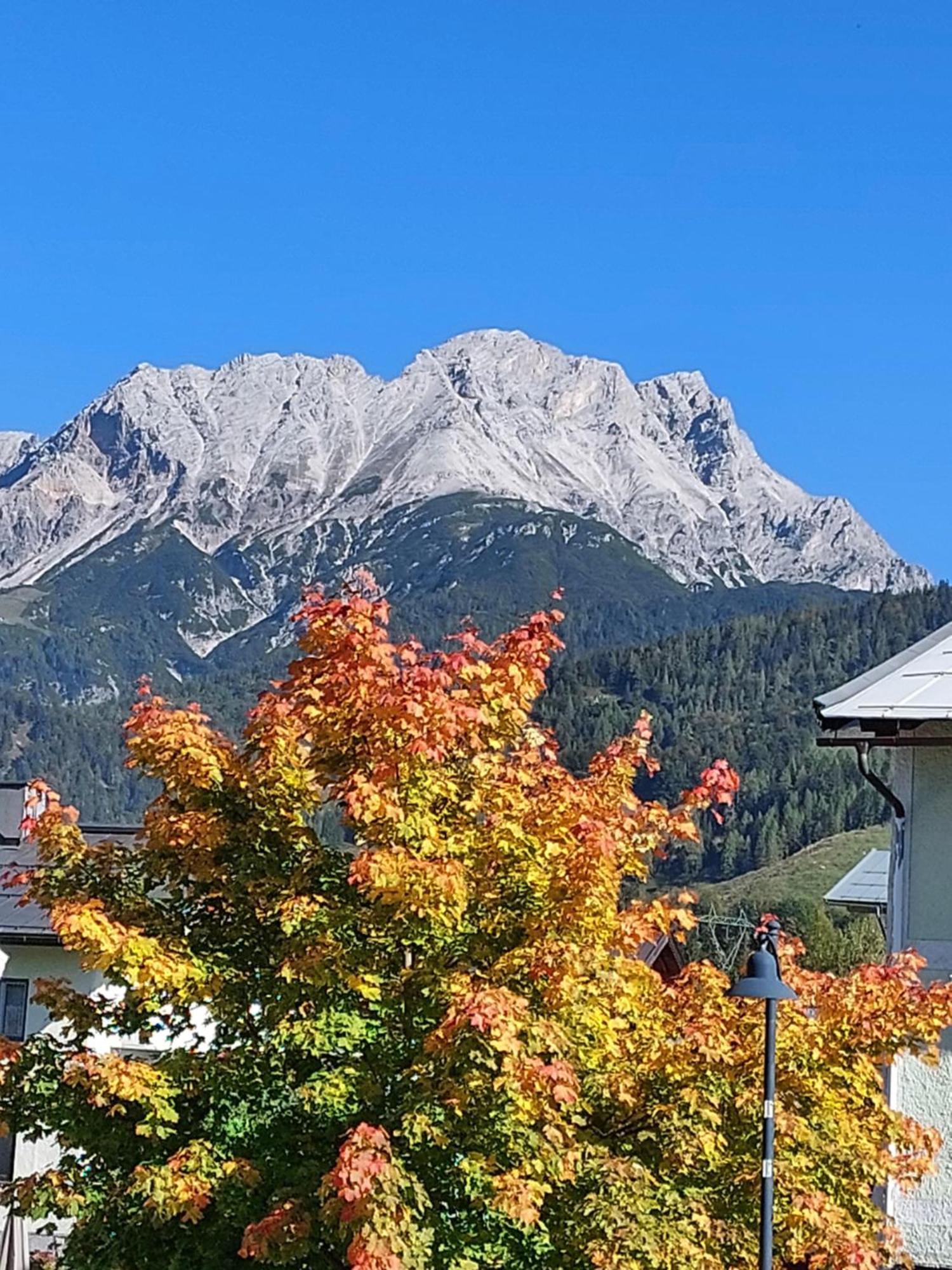 Ferienwohnungen Recherhof Hochfilzen Dış mekan fotoğraf